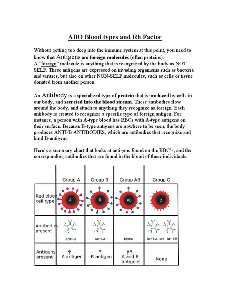 abo-blood-types-rhesus-antigens-antigen-blood-type