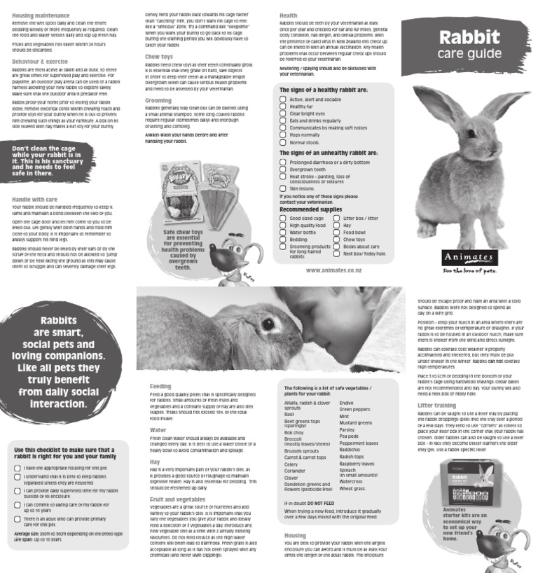 Care Guide Rabbit | PDF