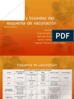 Vacunas y toxoides del esquema de vacunación