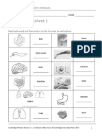 P - Science - 3 - Language Worksheets - Unit 4