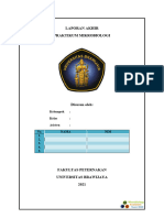 Template Laporan Mikrobiologi 2021