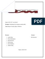 LCPA MIC Regras de Citacao, Plagio e Referencias