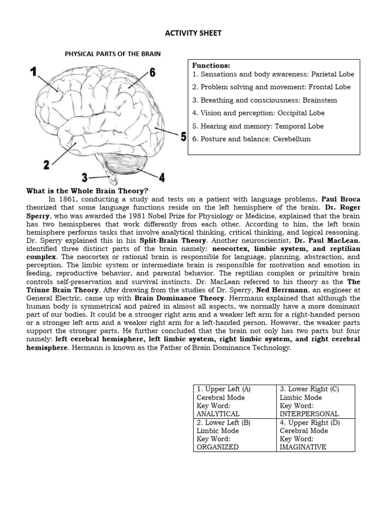 Brain visual data 5