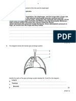 Bio