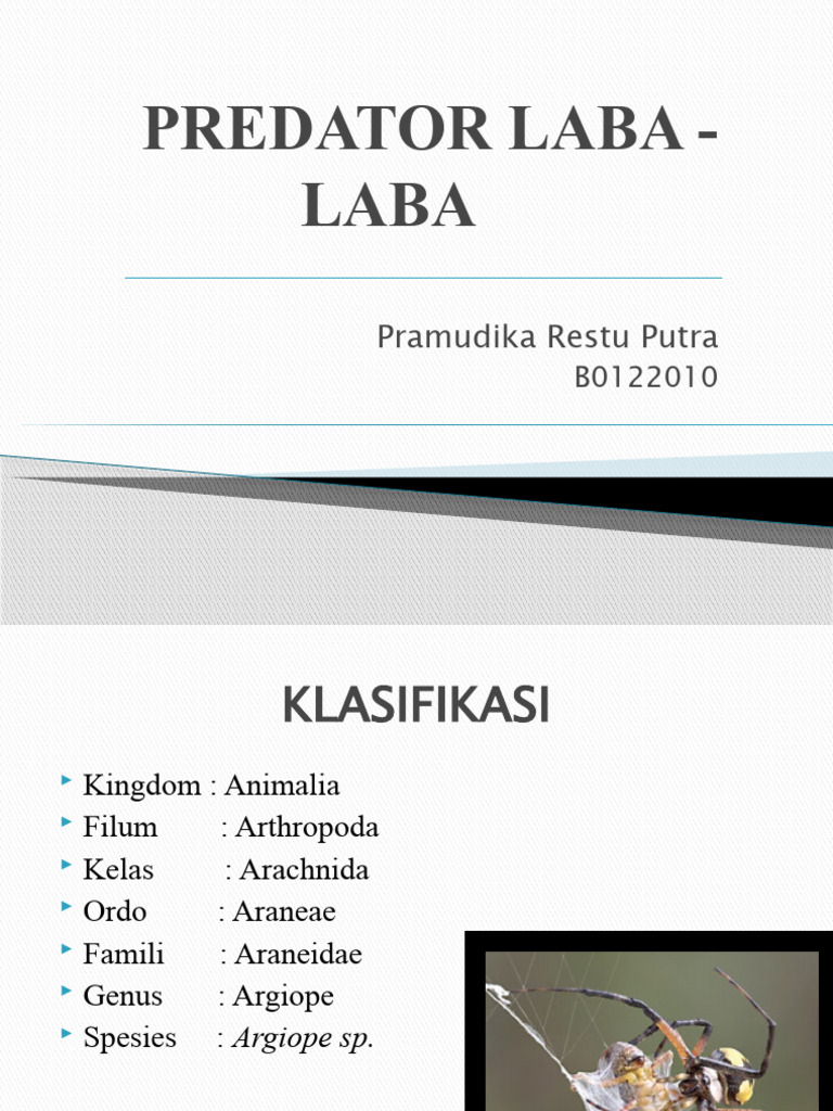 Laba-Laba: Predator Alami Hama Pertanian | PDF | Griya & Taman ...