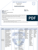 Planificación Anual Lengua Seño Ruiz