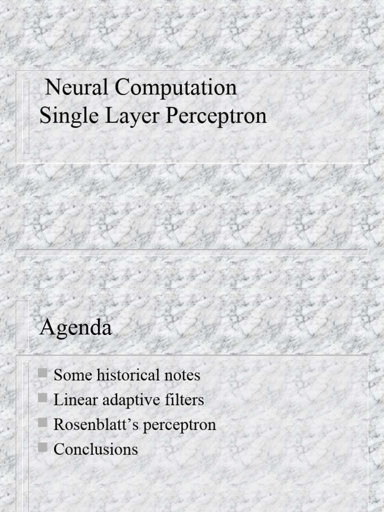 Single perceptor pdf applied mathematics algorithms