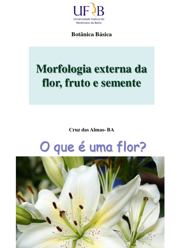 Morfologia de Flores e Frutos | PDF | Plantas | Fruta