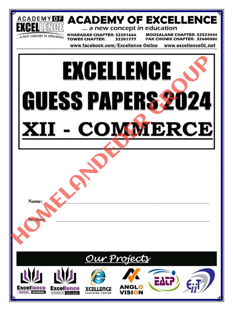 Xii-Commerce - Excellence Guess Paper 2024 - Homelander Group | PDF