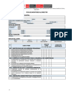 FICHA DE MONITOREO AL DIRECTOR ok