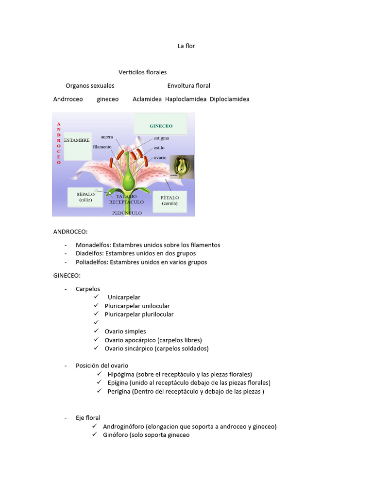 Examen Susti Botanica 03-04 | PDF | Las bacterias | Algas