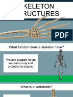 GR 5 T1 Mini-PAT Skeleton Structures Kit