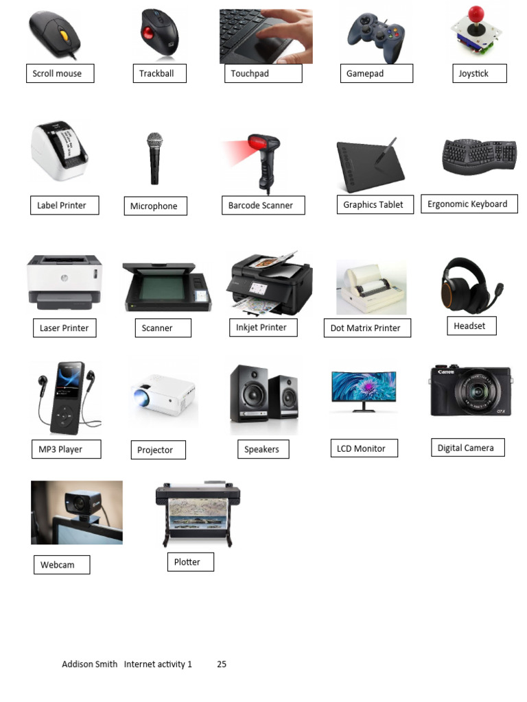 Essential Computer Input Devices List | PDF