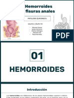 _hemorroides y Fisuras Anales