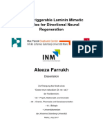 Aleeza Farrukh: Photo-Triggerable Laminin Mimetic Peptides For Directional Neural Regeneration