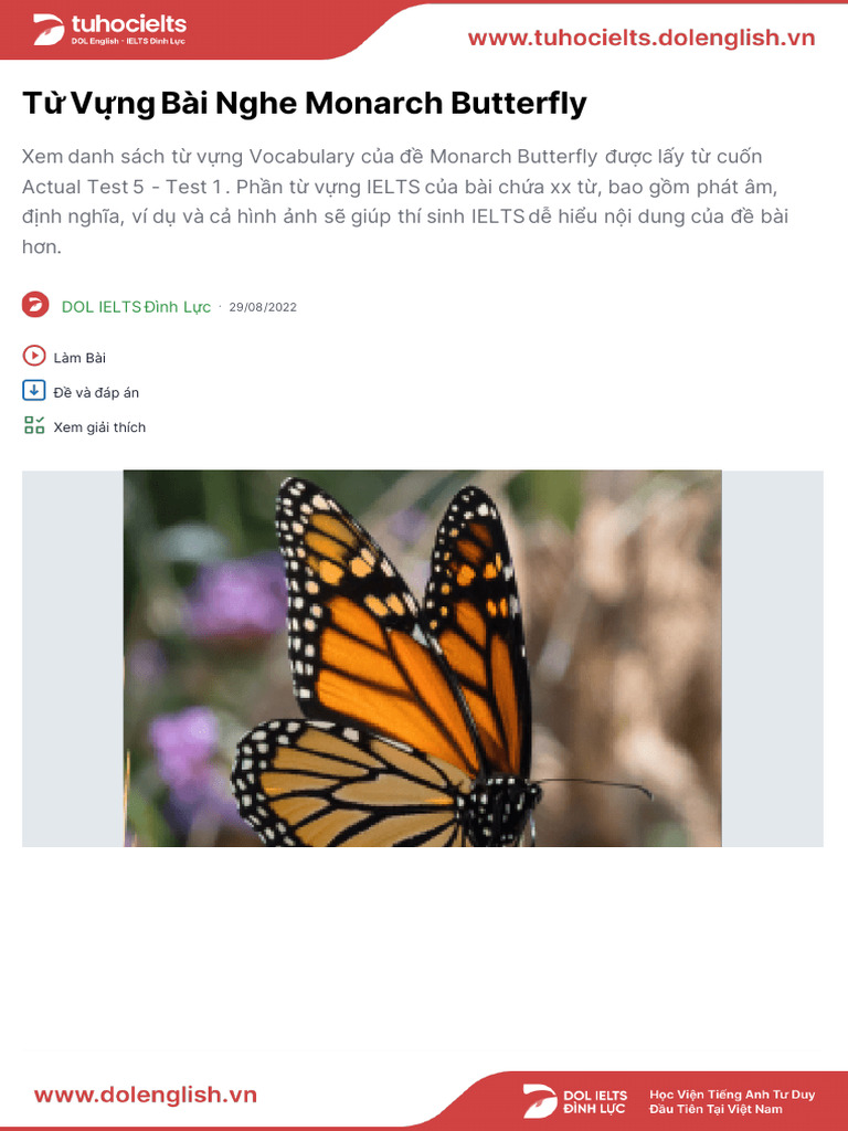 IELTS Listening: Monarch Butterfly Vocab | PDF