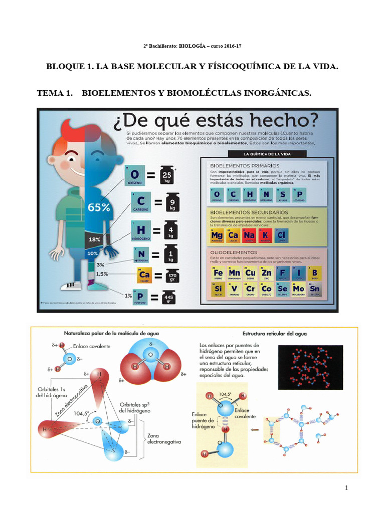 t1 Bioelementos y Biomolec Inorg 16-17 Subrayado | PDF | Coloide ...