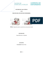 Colporrafia Anterior y Posterior