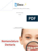 Nomenclatura Dental Diapositivas