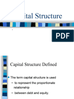 3.0capital Structure