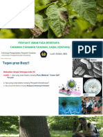 TPP 8. Generalist Disease On Annual, Chili, Potato