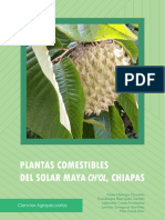 Plantas Comestibles Del Solar Maya Chol