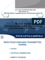 STD in Cattle &amp Buffalo - GM