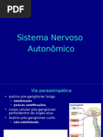 Sistema Nervoso Autônomo