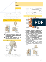 V. Ligaments