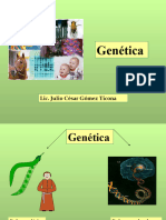 4to D - Genetica Mendeliana