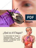 chagas2