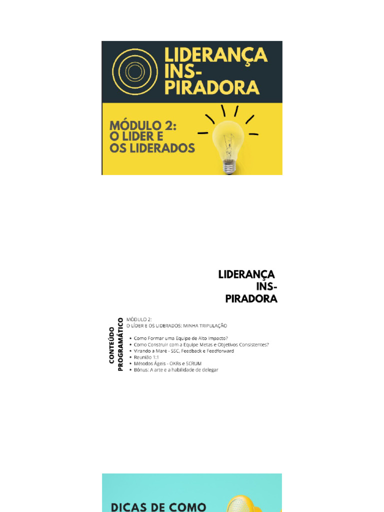 Liderança Pdf