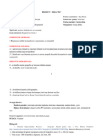 Proiect Didactic Cls - IV, GEOGRAFIE