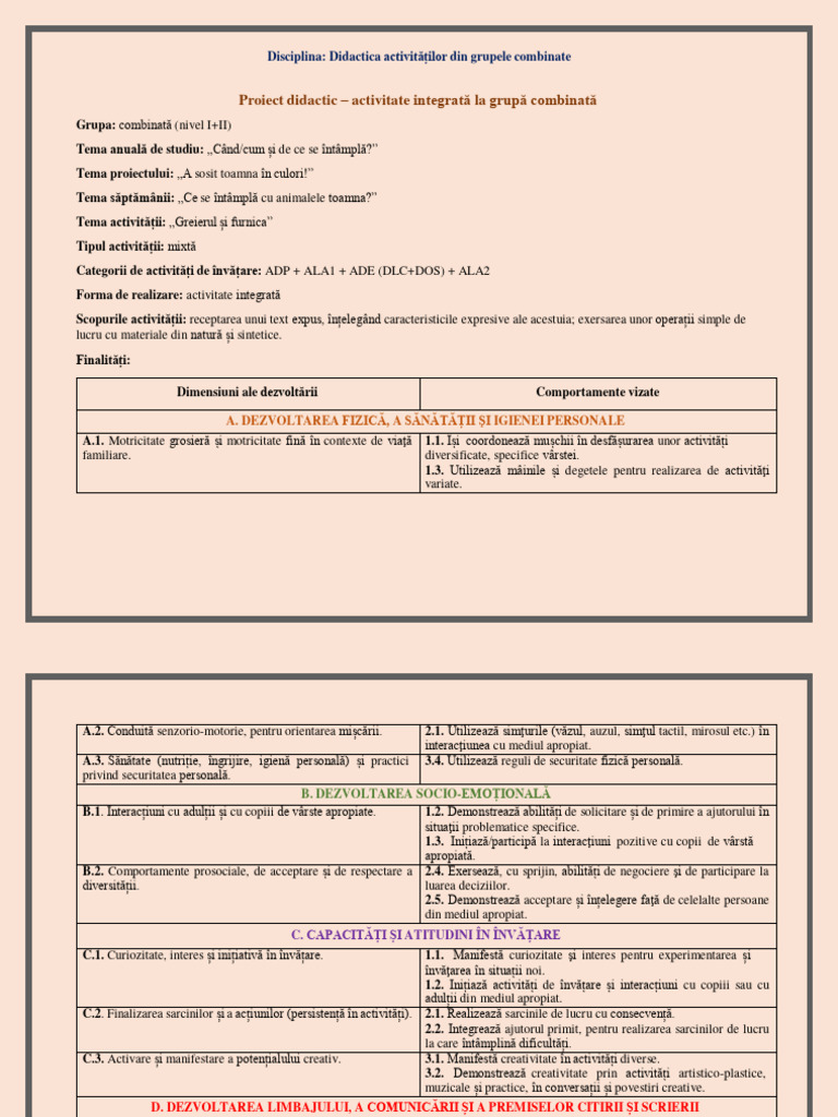 Proiect Model Corect - Grupe Combinate | PDF
