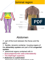 abdomen wall-1