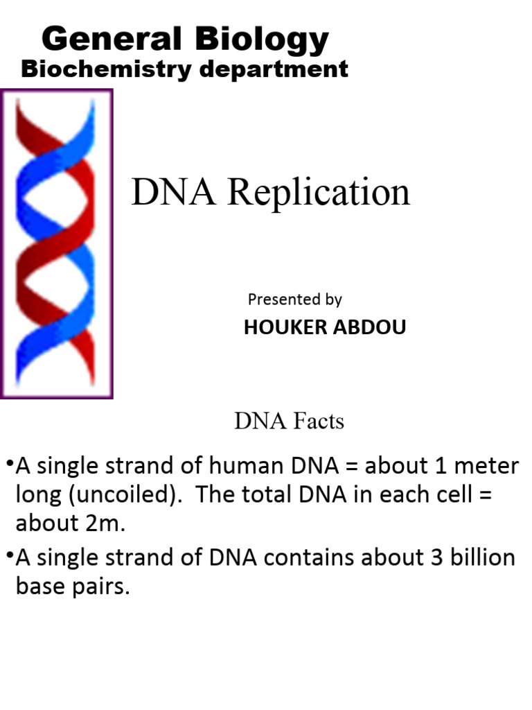 Dna Structure and Replication | PDF