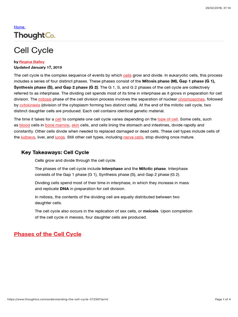 Cell Cycle Pdf Mitosis Meiosis