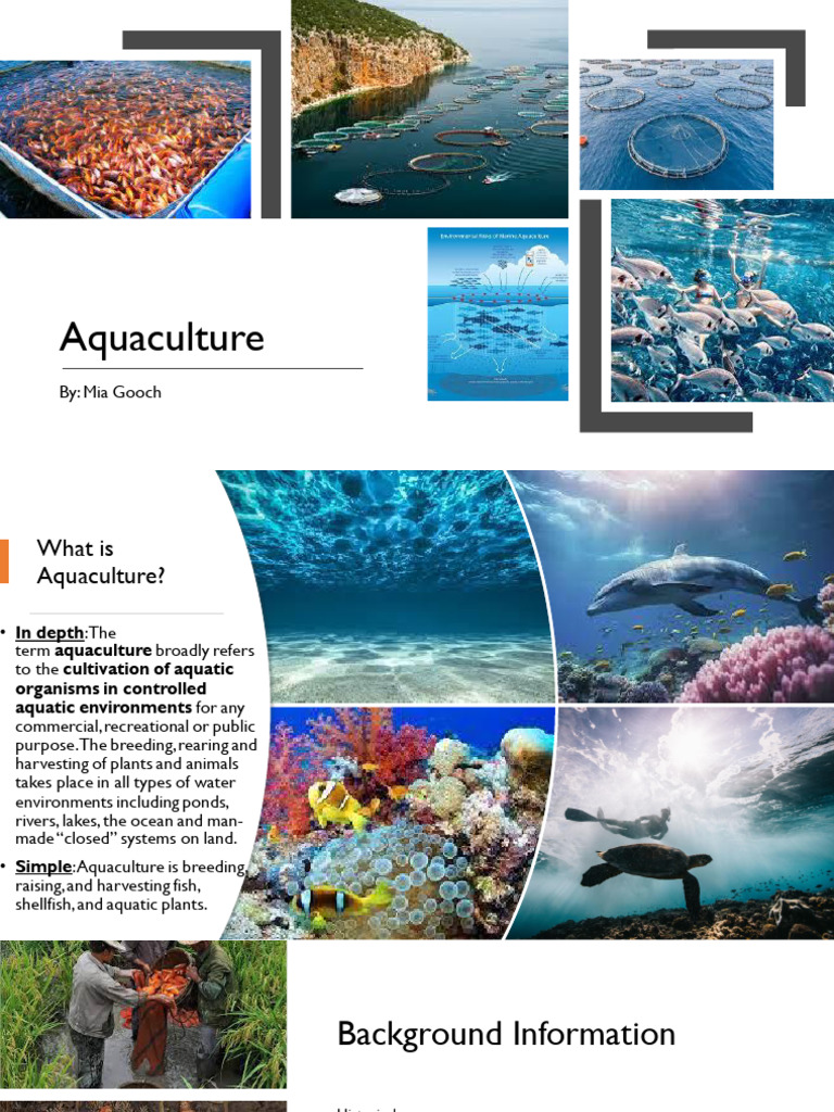 Aquaculture Apes Presentation Pdf Aquaculture Bivalvia