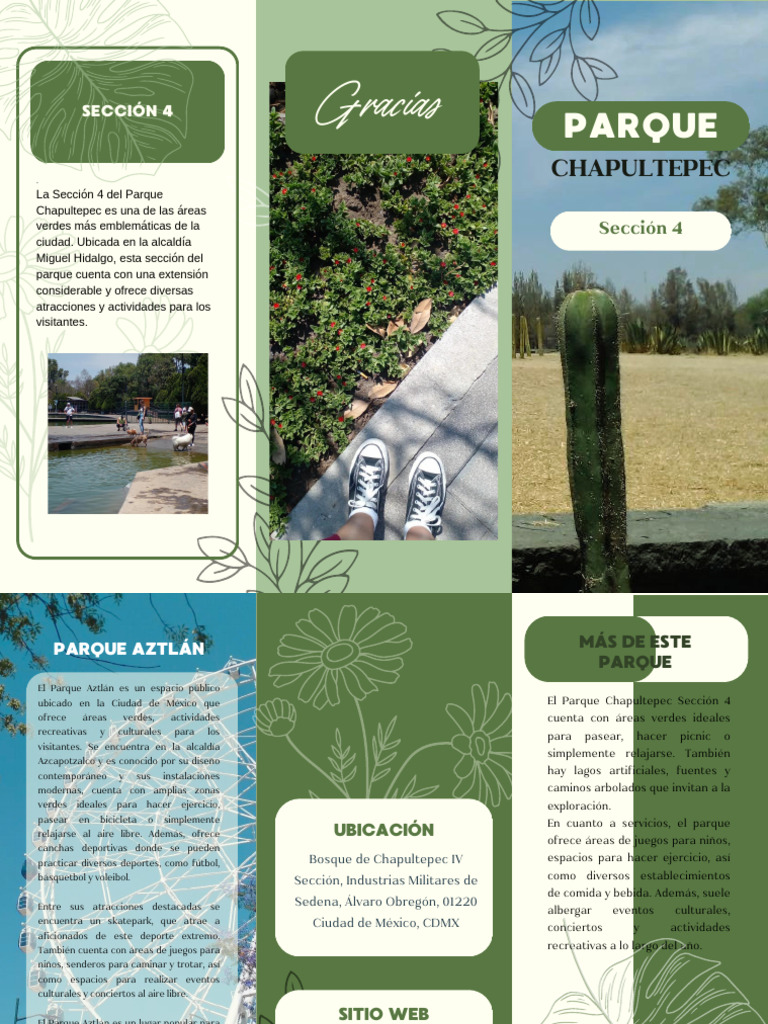 folleto-tr-ptico-consejos-para-cuidar-a-tus-plantas-ilustrado-verde