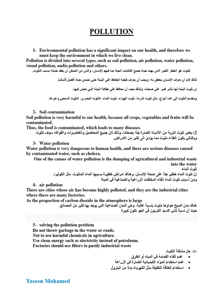 Pollution Essay 1 | PDF