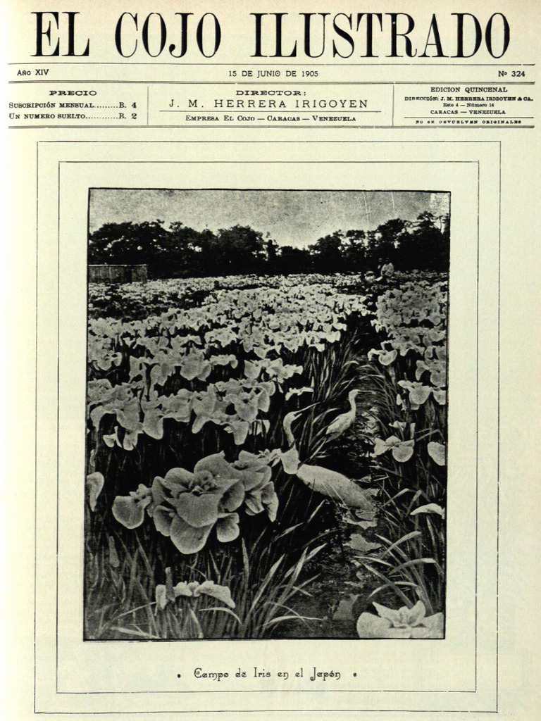 El Cojo Ilustrado PDF