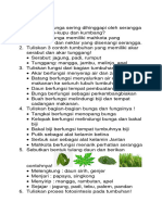 Latihan Soal URAIAN IPAS Tumbuhan