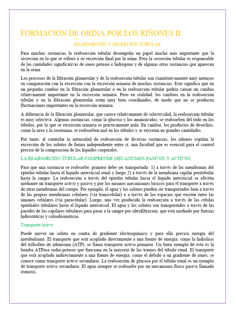 FORMACIÓN DE ORINA POR LOS RIÑONES II | PDF | Angiotensina | Riñón