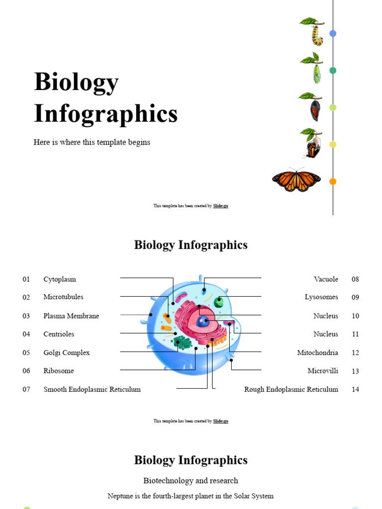 Biology Infographic Template Guide | PDF | Planets In Astrology | Planets