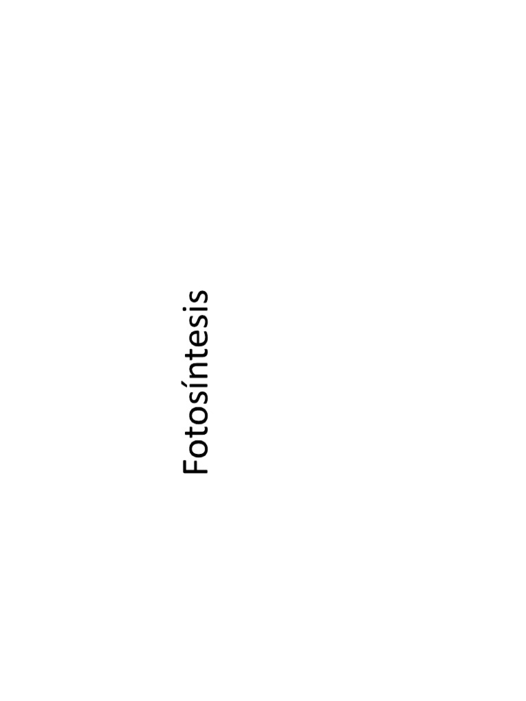 Fotos in pdf
