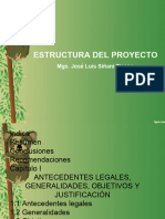 Estructura Del Proyecto - Capitulo I