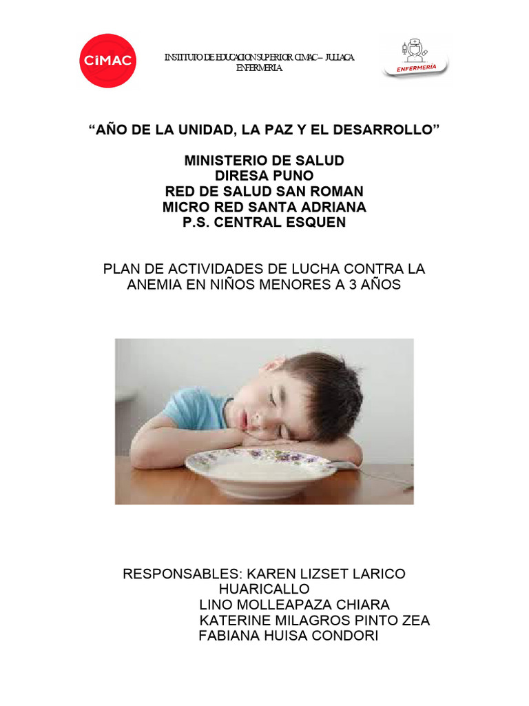 Plan de Actividades contra Anemia Infantil | PDF | Anemia | Nutrición