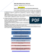 Derecho Procesal Penal - Desarrollo 1ra Parcial