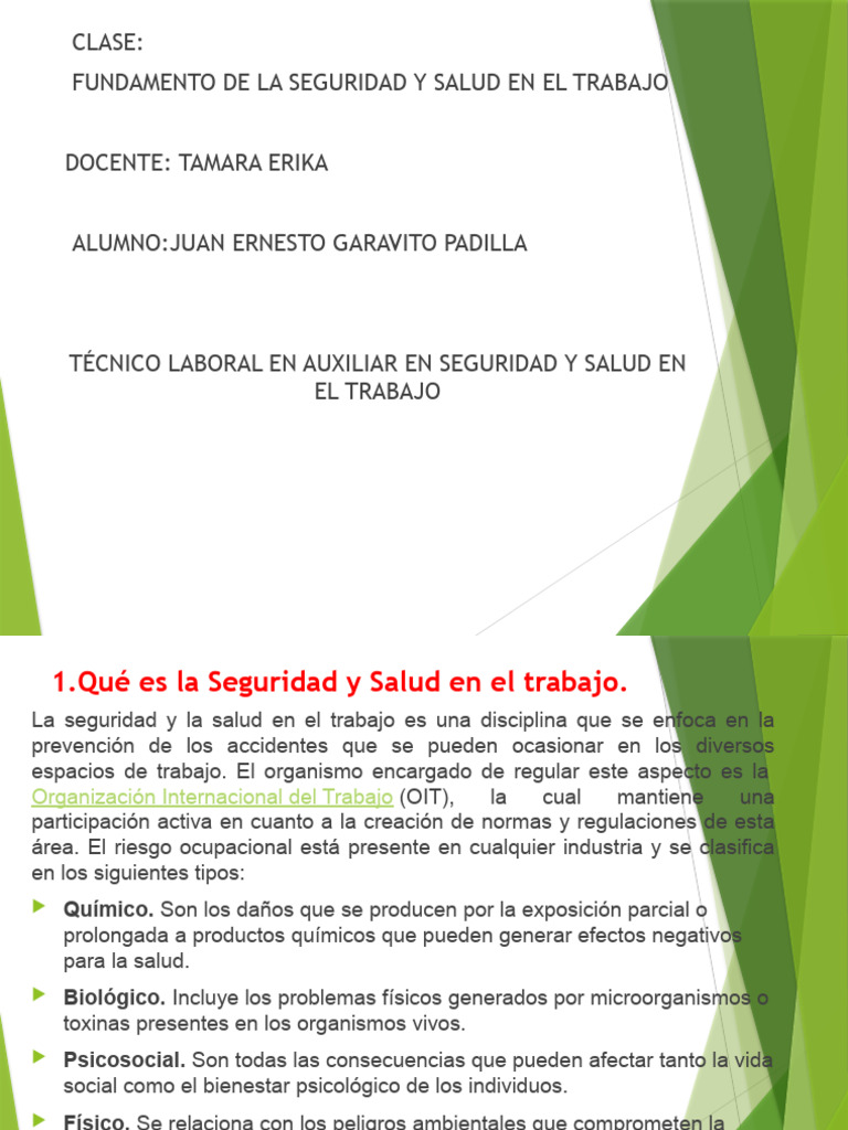 Fundamento de La Seguridad y Salud en El Trabajo | PDF | Business ...