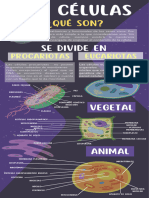 Las células infografía